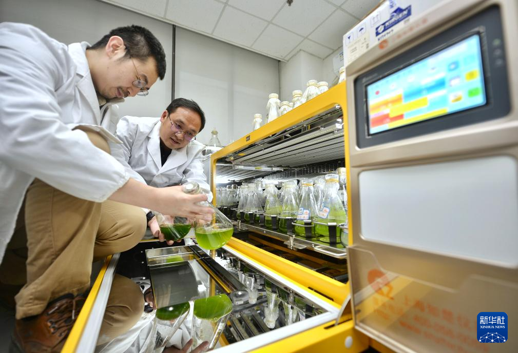 ????? ?????? ?????? ?? ????? ???? ????? ??? ????? ???????? ??????? ???????