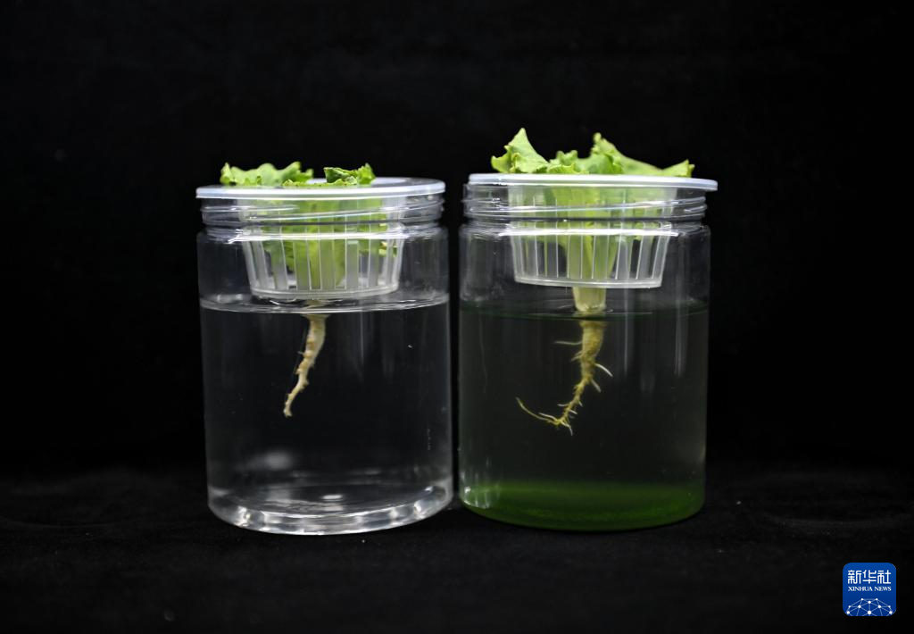 ????? ?????? ?????? ?? ????? ???? ????? ??? ????? ???????? ??????? ???????