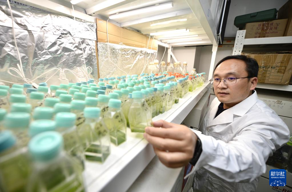 ????? ?????? ?????? ?? ????? ???? ????? ??? ????? ???????? ??????? ???????