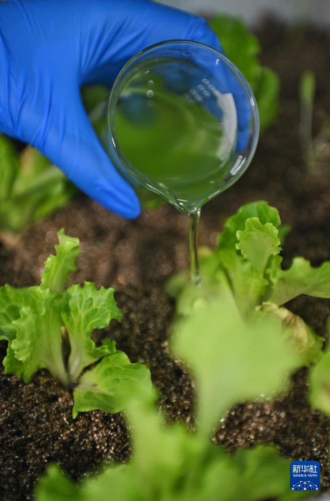 ????? ?????? ?????? ?? ????? ???? ????? ??? ????? ???????? ??????? ???????