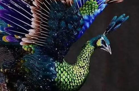 ?? ????? ???? ???? ?????? ??? ????? ???? ?????