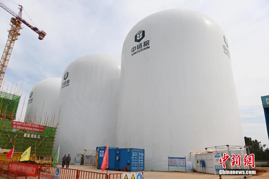 ????? ???? ?? ?????? ?????? ?? ????? ?????? ???????? ???? 9000 ??