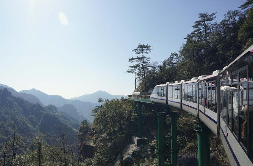 "???? ???????".. ??????? ???????? ??????? ??????