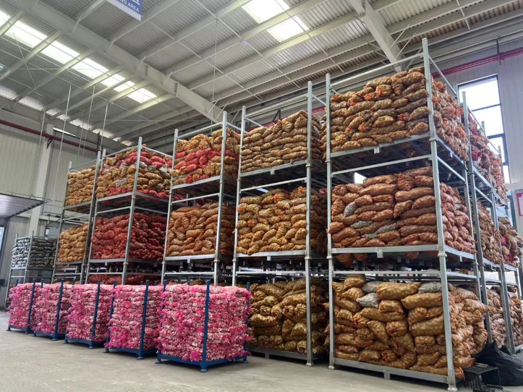 ?????? ????? ??? ???? ??? ????? ??? ????? ??????