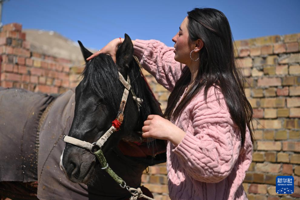 ????? ????? ???? ???????