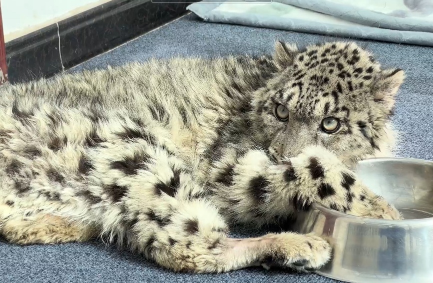 ????? ??? ??? ???? ?? ??? ?????? ???? ??? ???? ???????