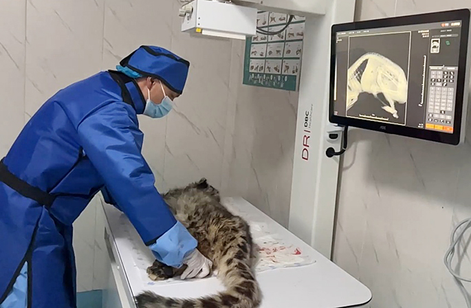 ????? ??? ??? ???? ?? ??? ?????? ???? ??? ???? ???????