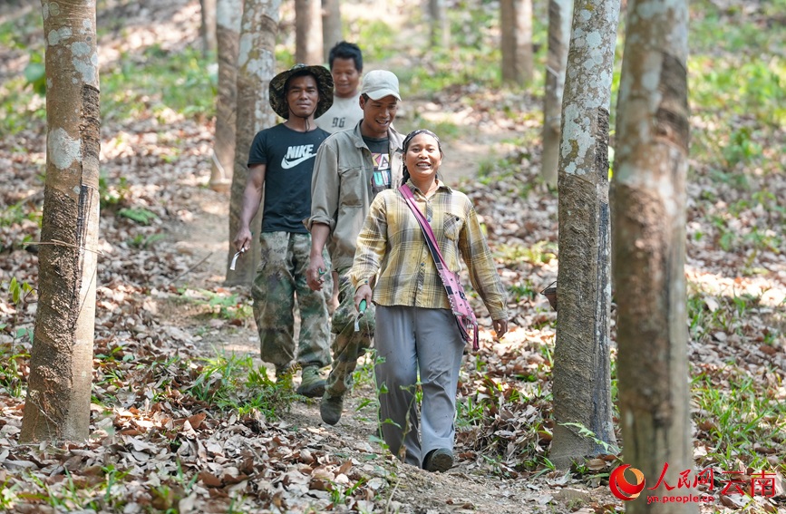 ????? ???????? ??? ?????? ?? ?????? ???????