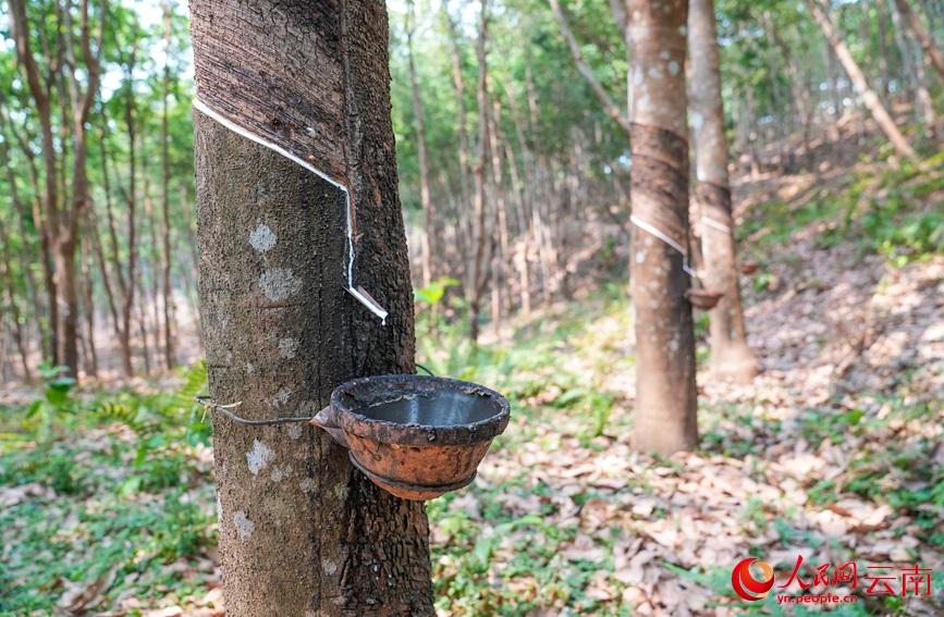 ????? ???????? ??? ?????? ?? ?????? ???????