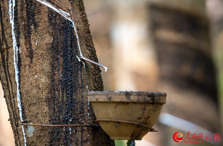 ????? ???????? ??? ?????? ?? ?????? ???????