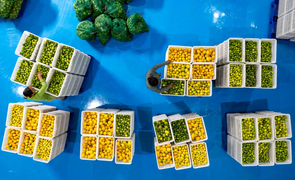 ??????: ????? ????? ??????? ?? ?????? ?????? ????? ???? ?????