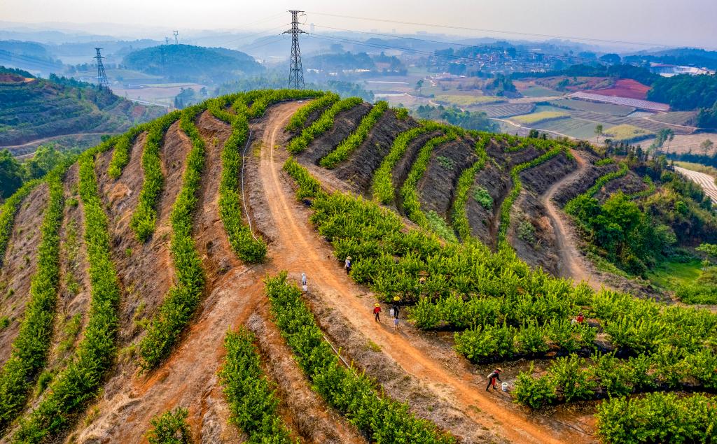 ??????: ????? ????? ??????? ?? ?????? ?????? ????? ???? ?????