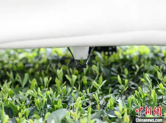 ????? ??????? ????? ??? ???? ????? ?? ??????????