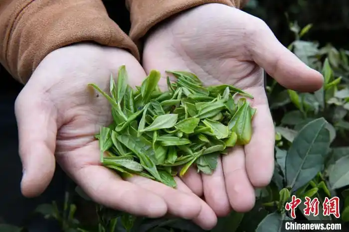 ????? ??????? ????? ??? ???? ????? ?? ??????????