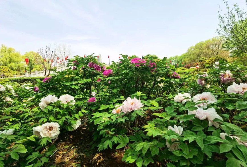 ??????? ??? 42 ??????? ???? ????????? ??????? ????? ?? ??????