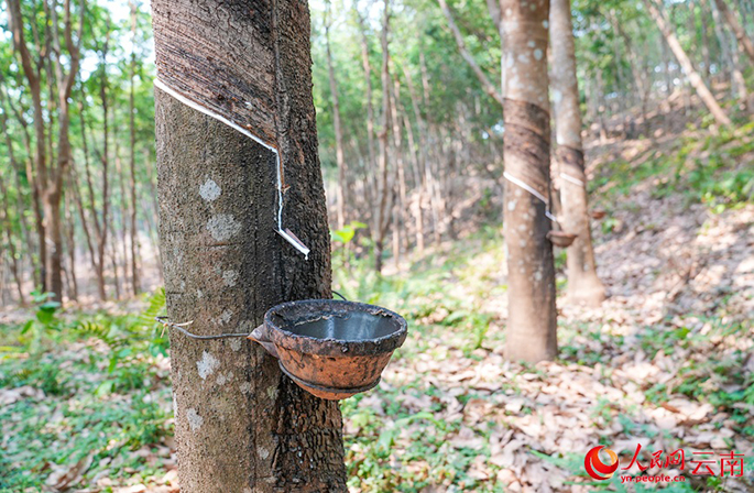 ????? ???????? ??? ?????? ?? ?????? ???????