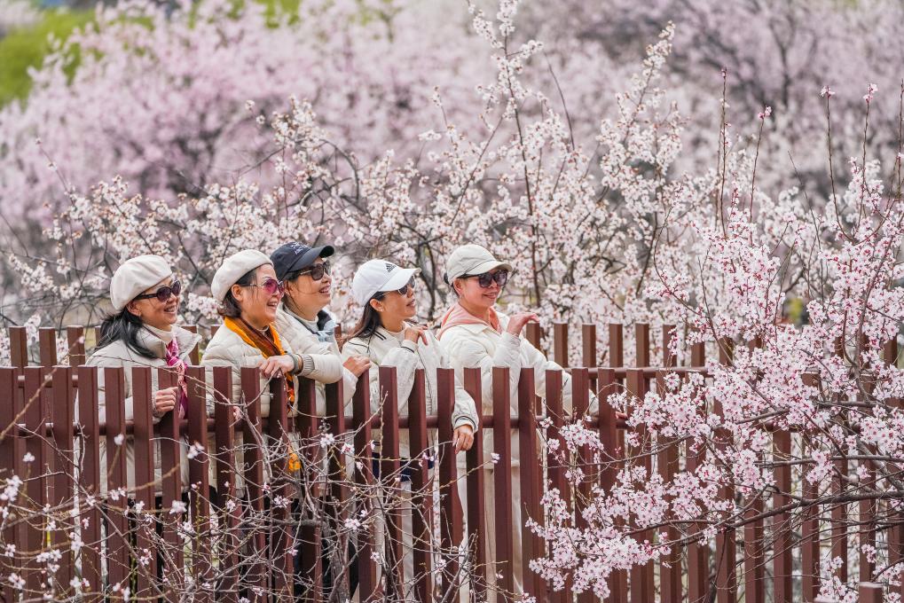 ???? ???? ????? ?? ??????? ?????? ??????? ????? ????? ?? ???? ???? ?????