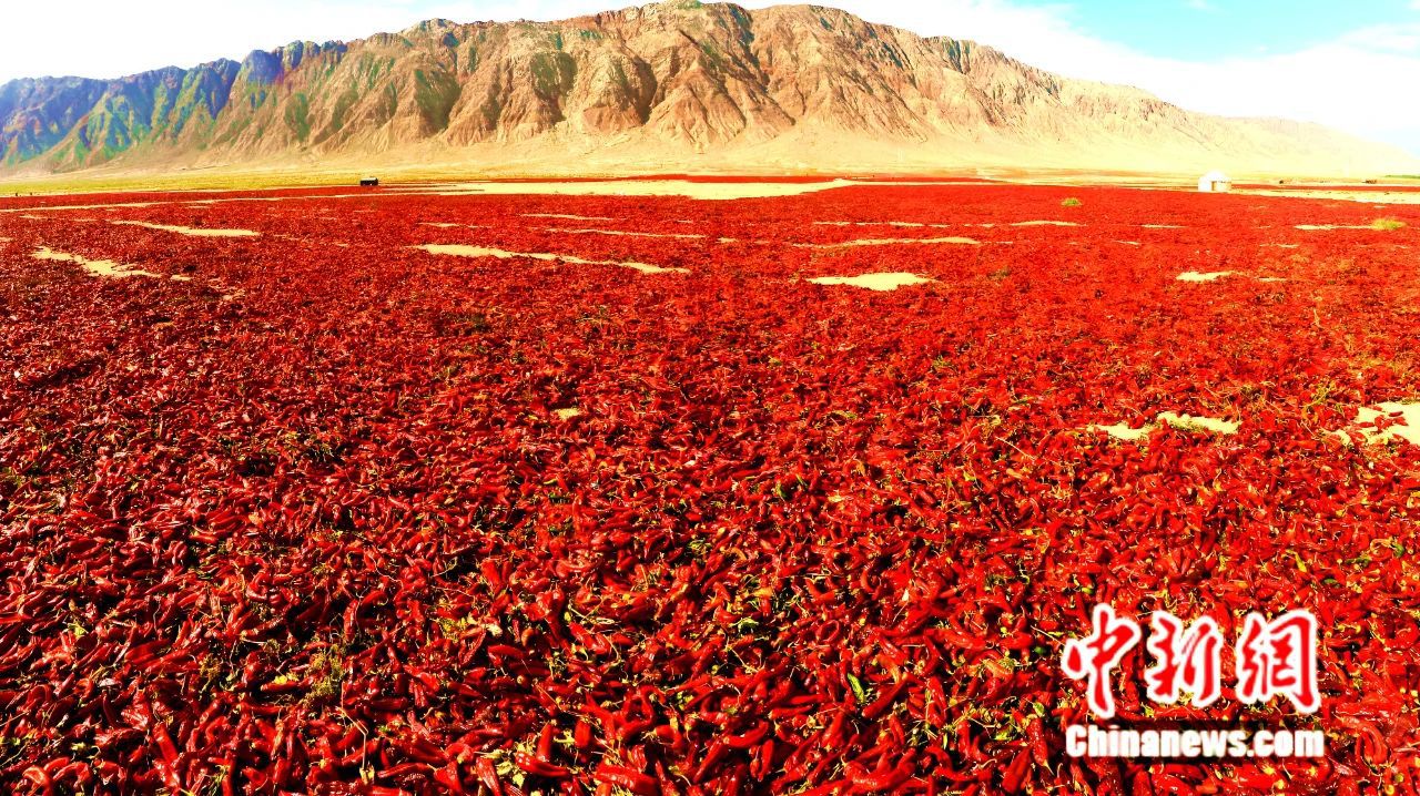 ?? ????? ?????? ?? ????? ??? ???????? ??????? ?? ?????? .. 12% ?? ??????????? ?? ?????? ???? ?? ??????? ????????