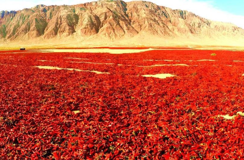 12% ?? ??????????? ?? ?????? ???? ?? ??????? ????????