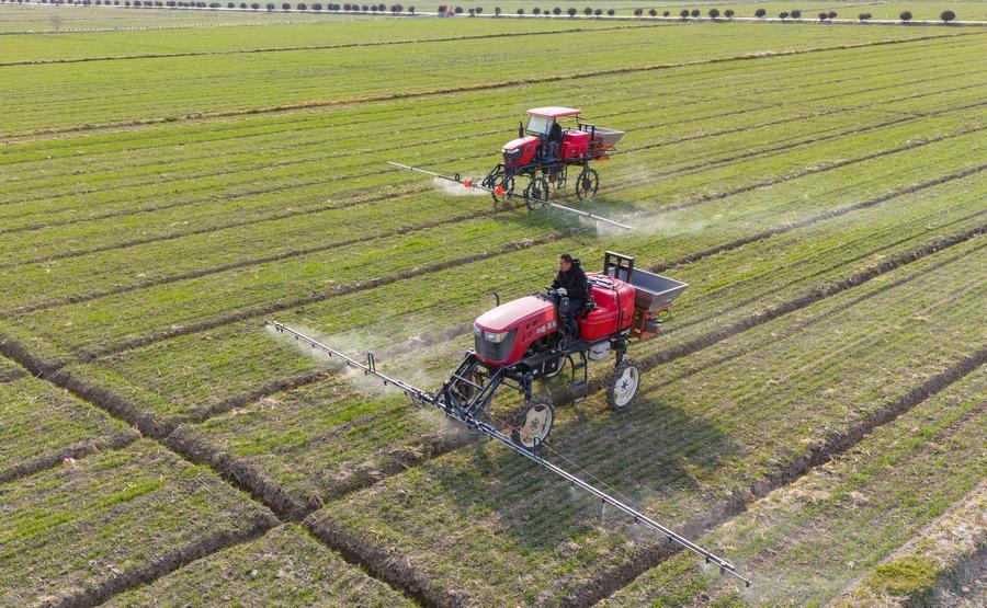 ????? ???? ?? ??? ?????? ????? ????? ????????