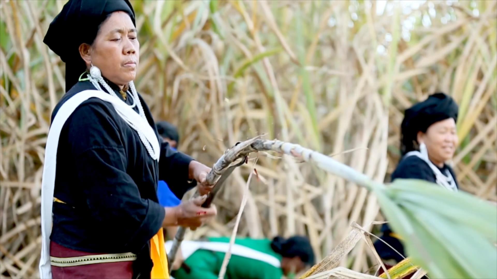 ?????? ????? ????? ??? ????? ??? ??? ????... ????? ????? ????? ?????? ????? ??? ??????? ????????