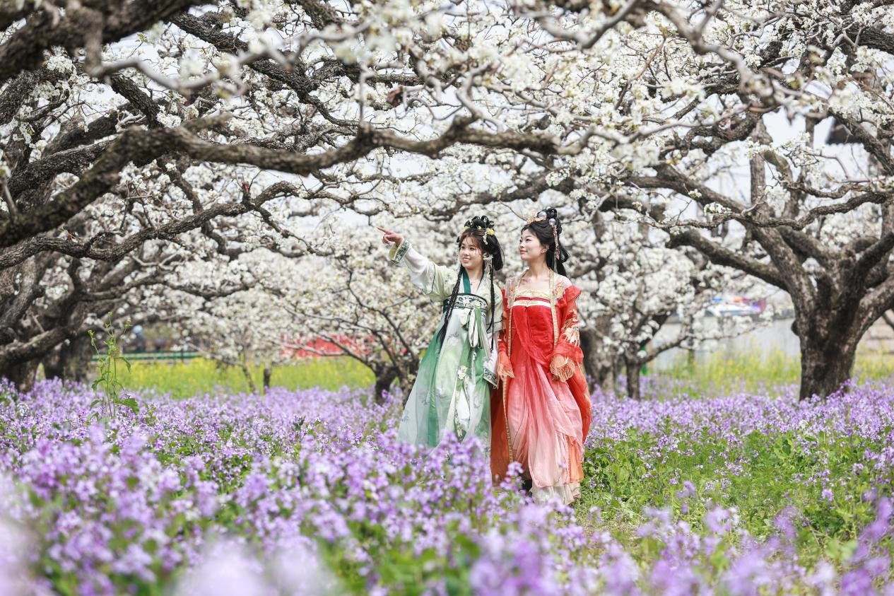 ????? ??????? ???? ?????? ??????? ???????