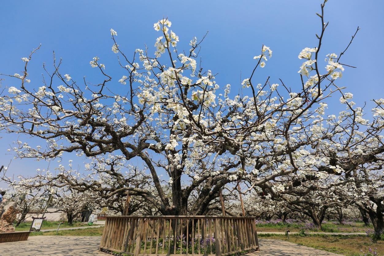 ????? ??????? ???? ?????? ??????? ???????