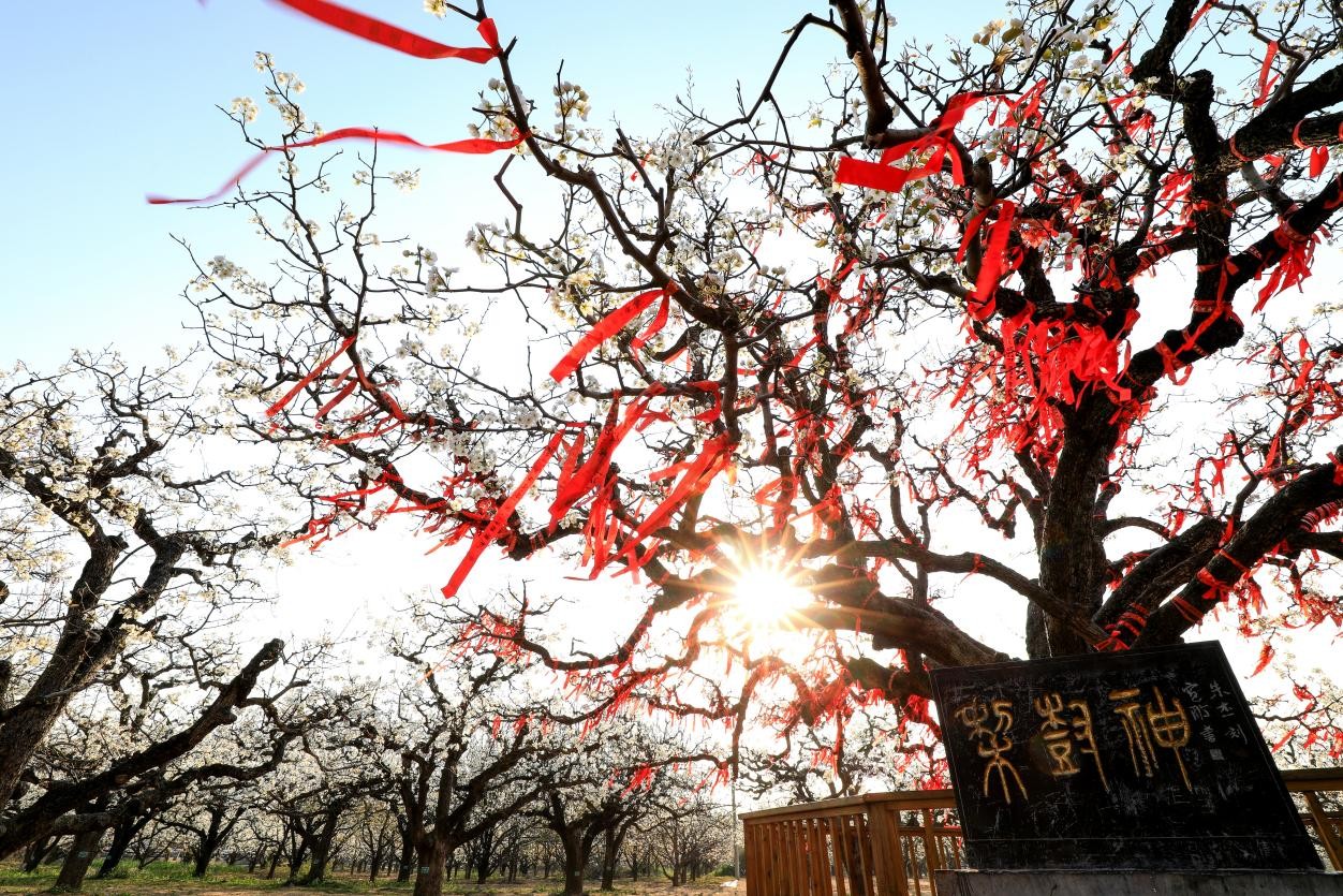 ????? ??????? ???? ?????? ??????? ???????