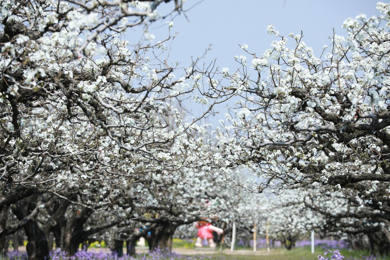 ????? ??????? ???? ?????? ??????? ???????