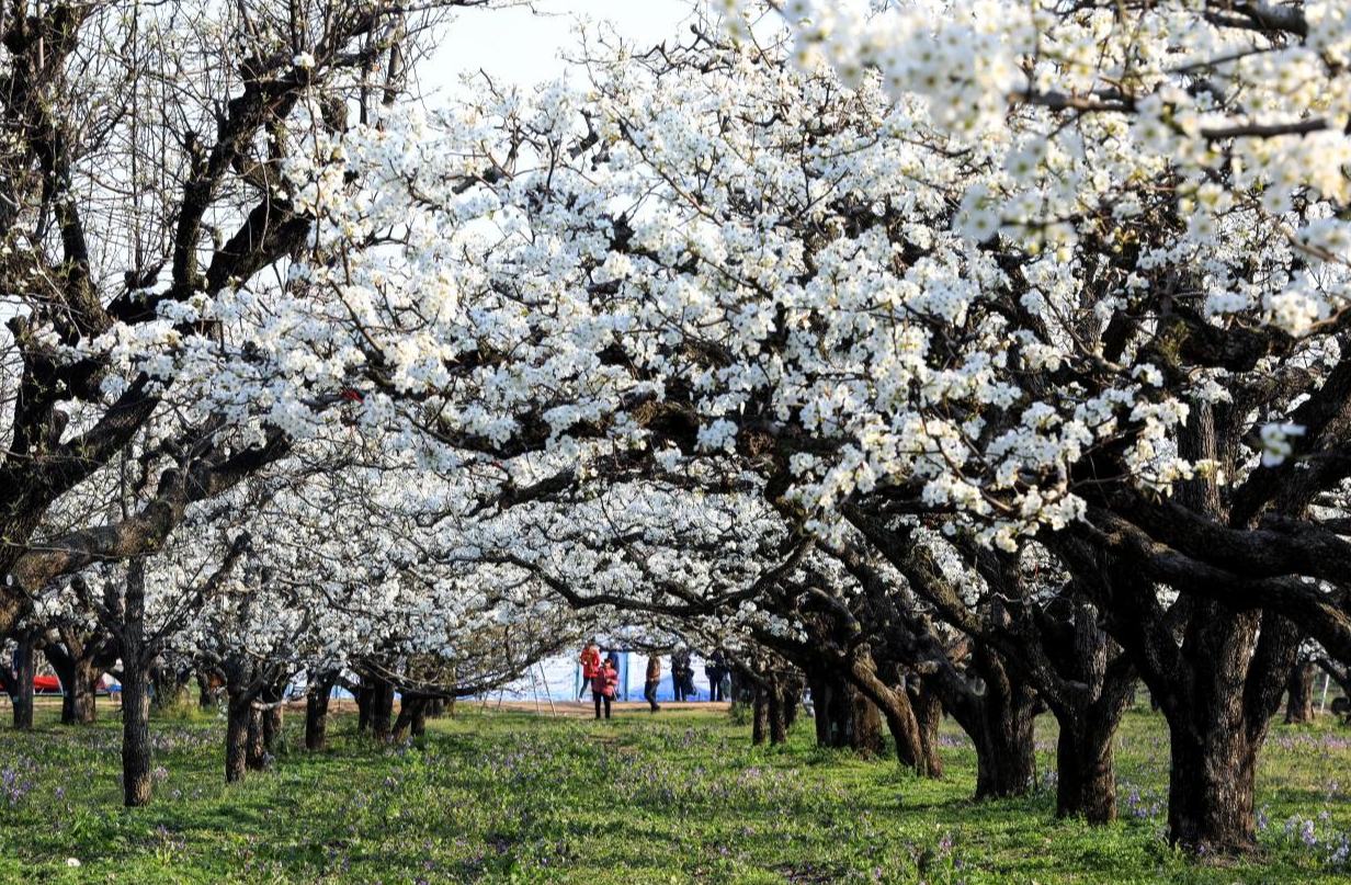 ????? ??????? ???? ?????? ??????? ???????