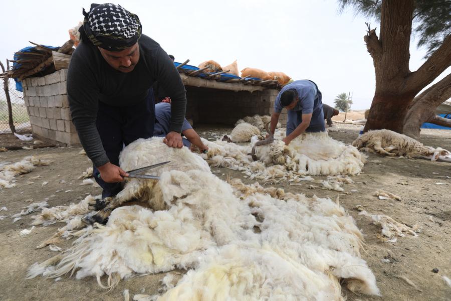 ?????: ???? ?? ????? ??? ?????? ????? ???? ?????? ?????? ????