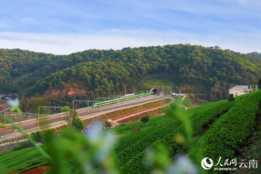 ?? ??? ???? ?????-???? ???? ???? ?? 480 ??? ???? ??? ?????? ???? ?????