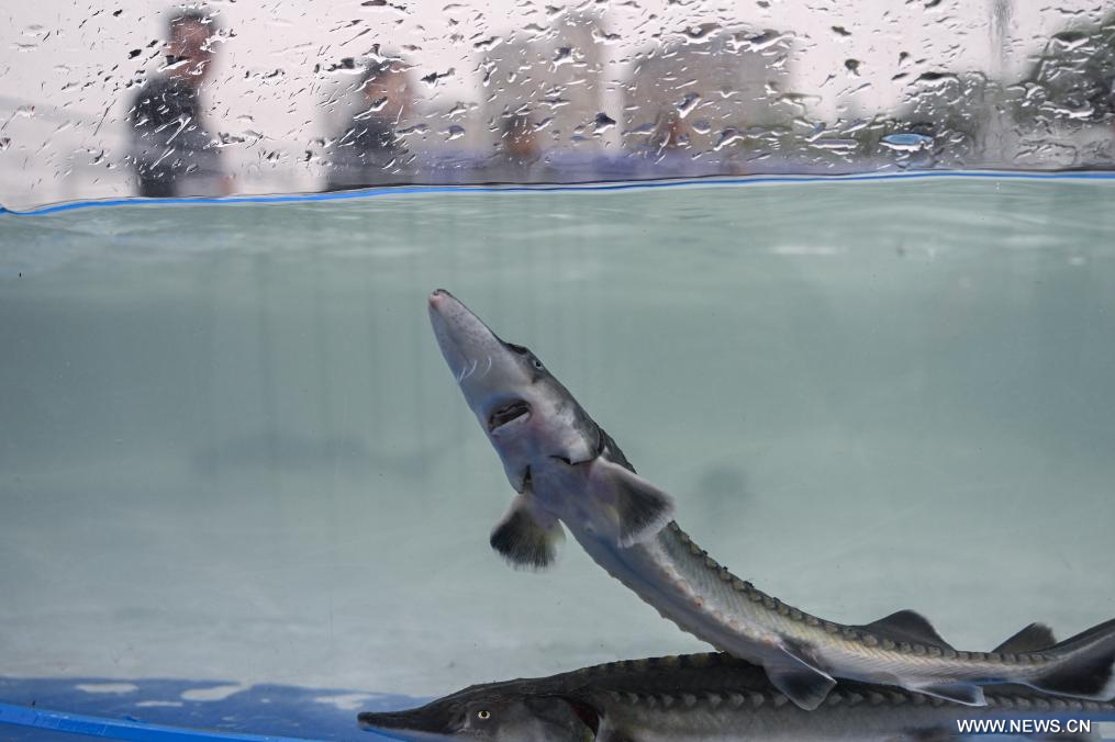 ????? ??? ????? ?????? ?? ??????? ???? ?????