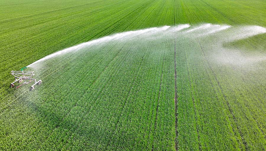 ?????? ???? ???? ??????? ?? ????? ?????? ?????? 8 ?????? ?????