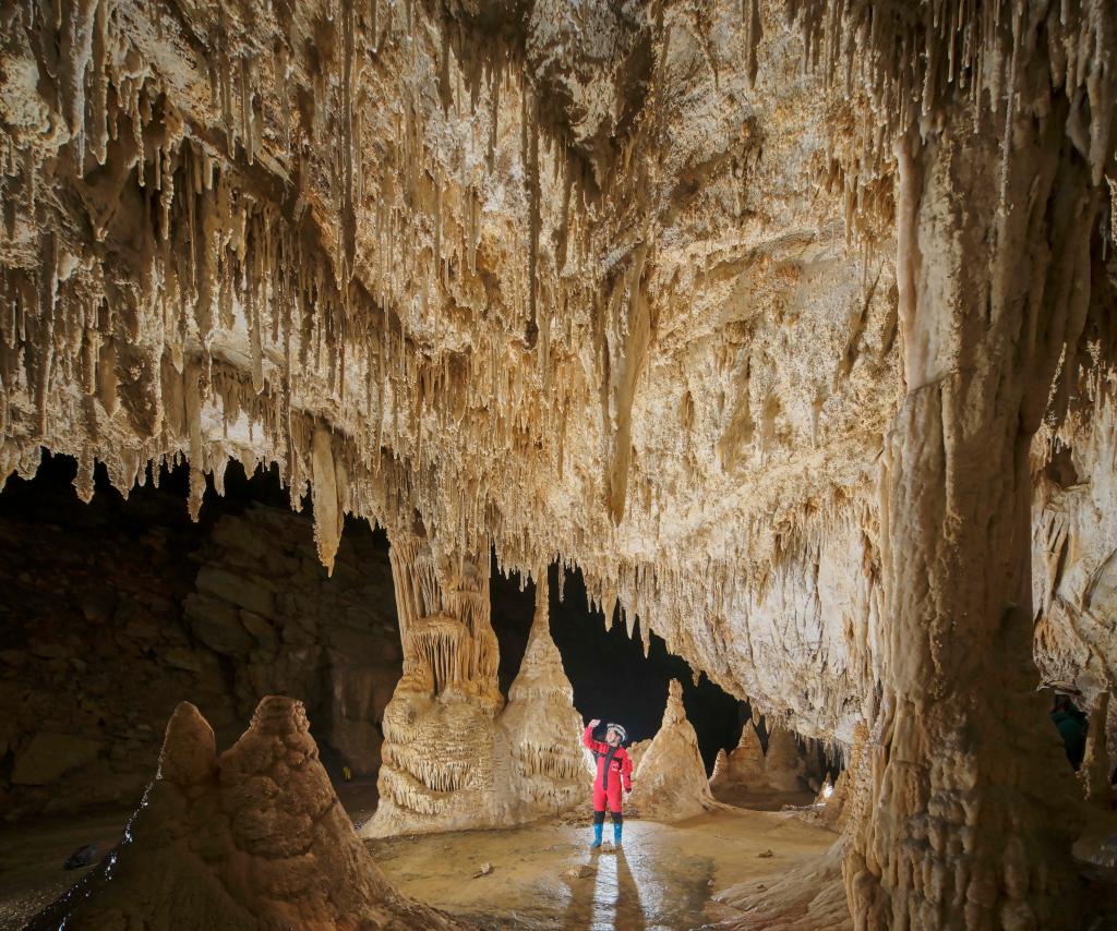 ???? ??? 480 ????? ???? ???? ??? ???? ??? ???? ??????? ??? ?????????