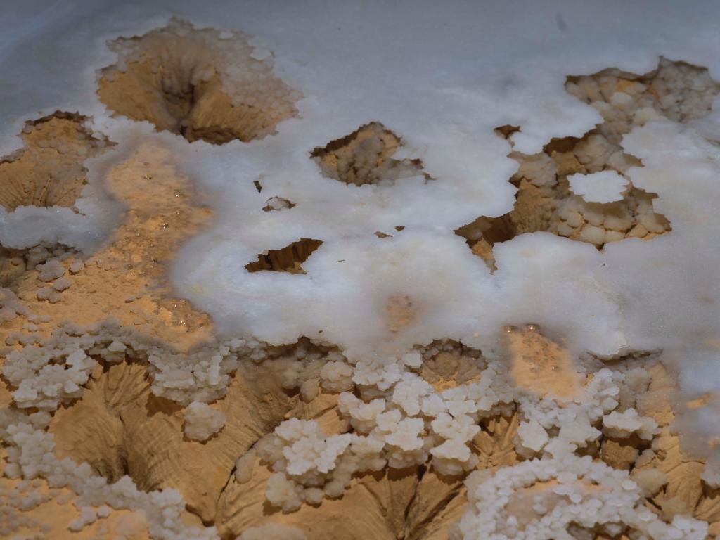 ???? ??? 480 ????? ???? ???? ??? ???? ??? ???? ??????? ??? ?????????