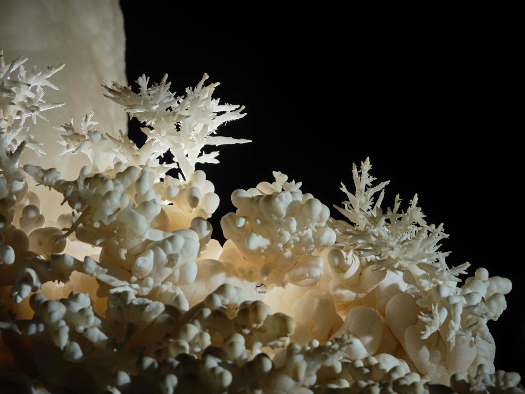 ???? ??? 480 ????? ???? ???? ??? ???? ??? ???? ??????? ??? ?????????