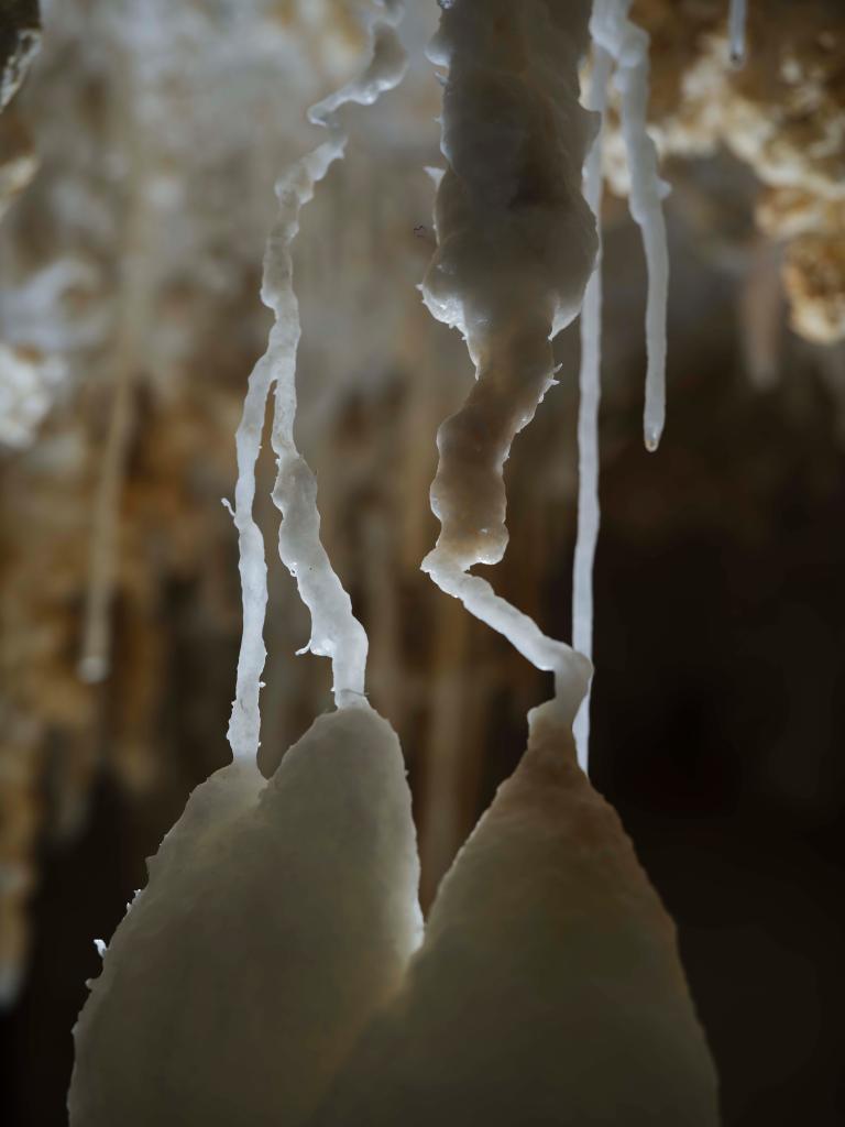 ???? ??? 480 ????? ???? ???? ??? ???? ??? ???? ??????? ??? ?????????