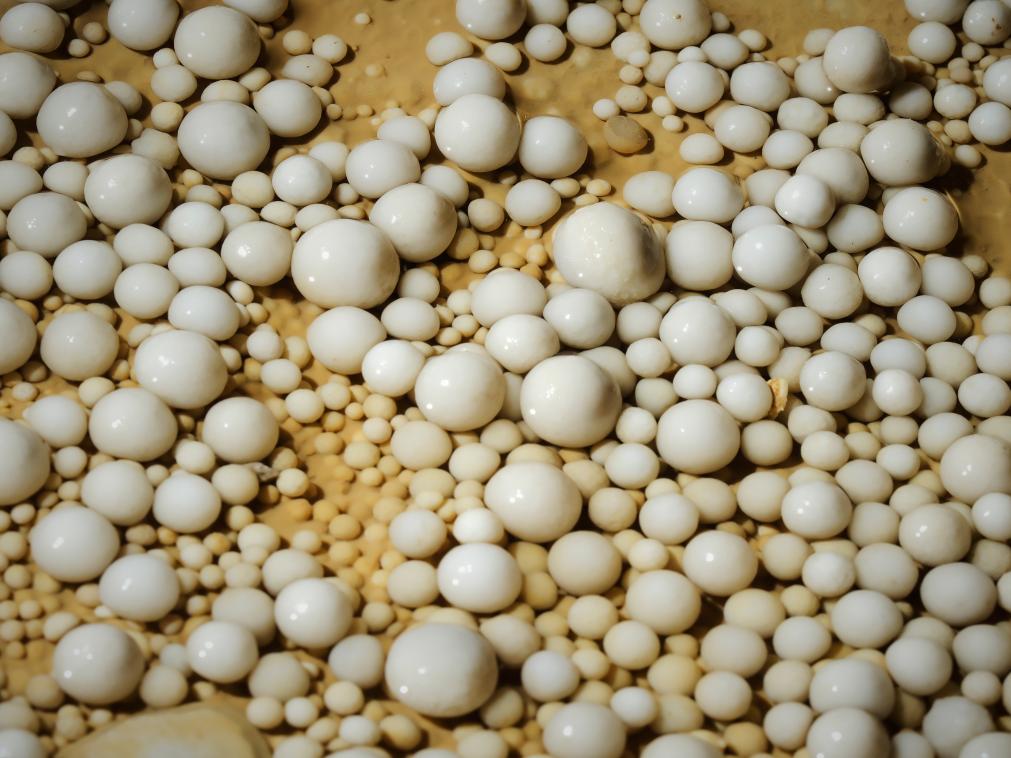 ???? ??? 480 ????? ???? ???? ??? ???? ??? ???? ??????? ??? ?????????