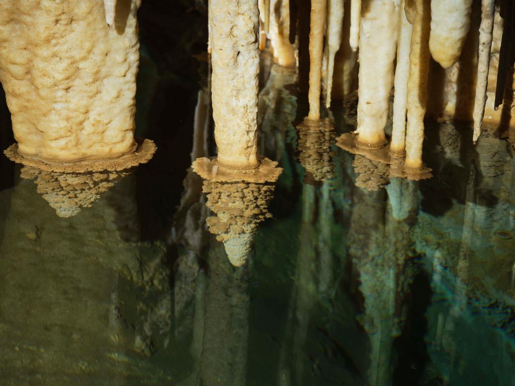 ???? ??? 480 ????? ???? ???? ??? ???? ??? ???? ??????? ??? ?????????