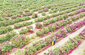 ?? ????? ??????????? ?????? ????? ?????? ???????