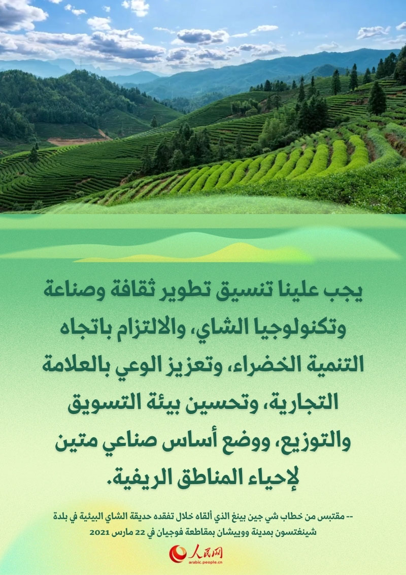 ??? ????? ?? ??? ????.. ???? ??????? ?????? ?? ??????