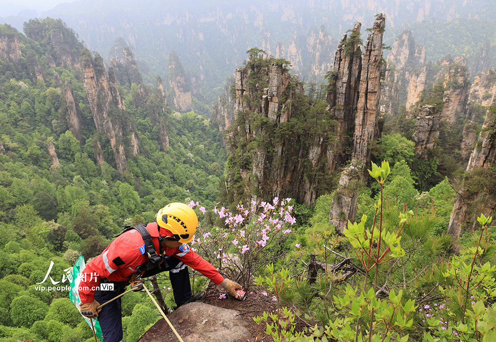 ????? ?????? ???????????: ????? ??? ????????? ???? ???????