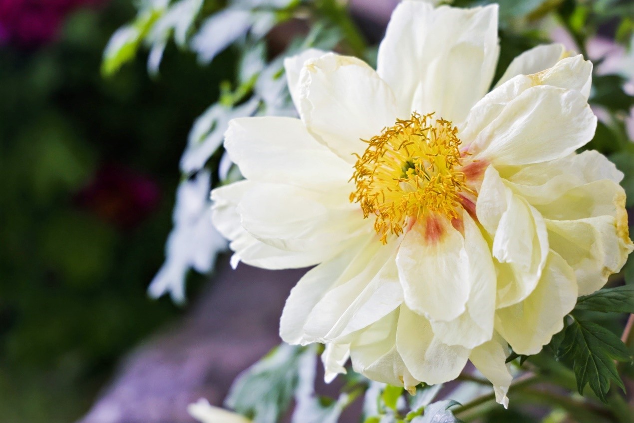 ????? ?????? ?? ????? ????????? ??????? .. ?????? ?????? ??????? ????? ?????? 