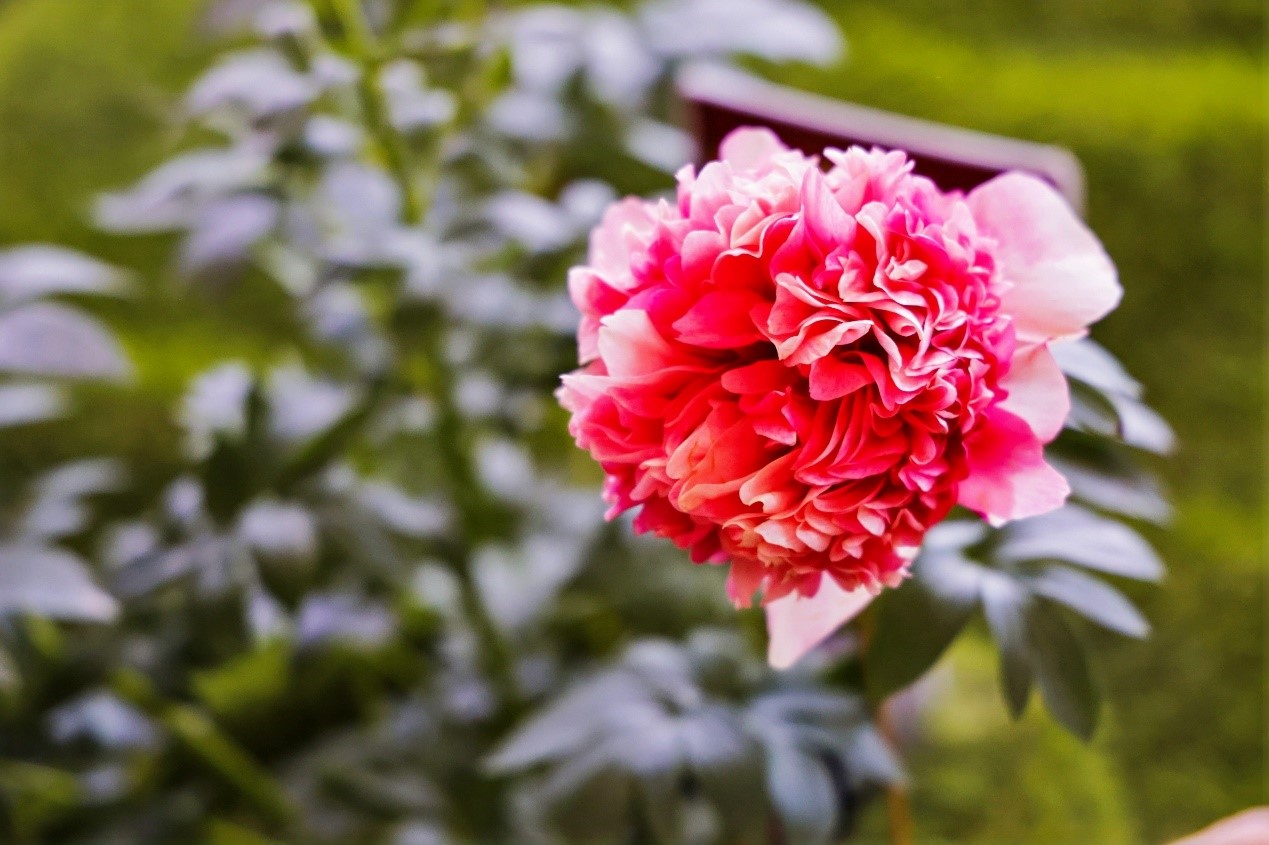 ????? ?????? ?? ????? ????????? ??????? .. ?????? ?????? ??????? ????? ?????? 