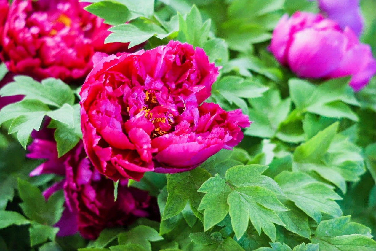 ????? ?????? ?? ????? ????????? ??????? .. ?????? ?????? ??????? ????? ?????? 