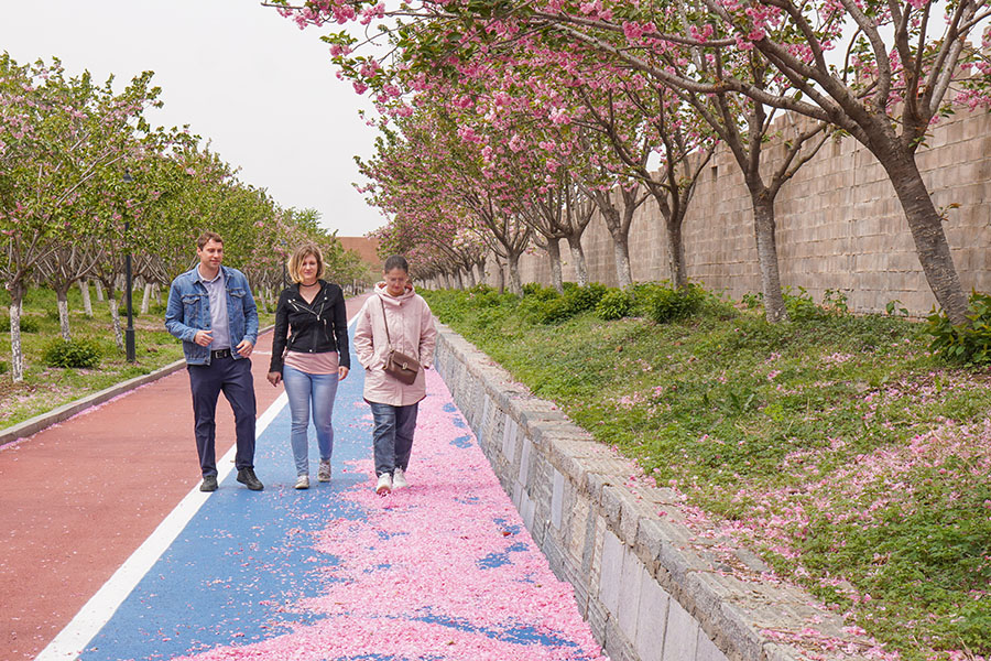 ????? ???? ????? ?? 94% ?? ??? ?????? ??????? ???? ????? ??????