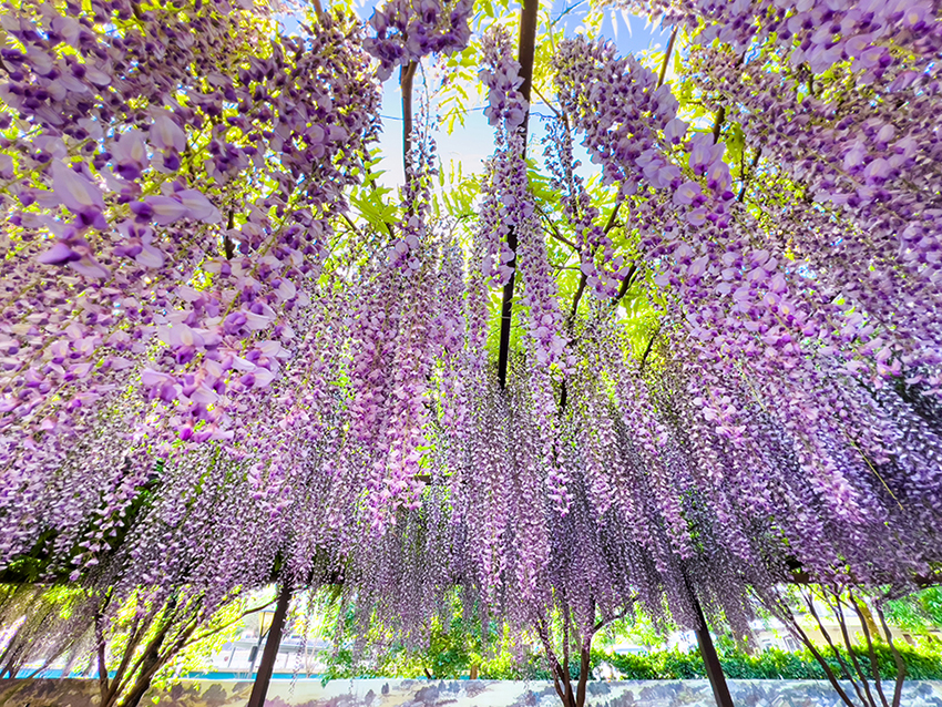 ???? ?????? ?????? .. ???? ????????? ?????? ????????? ?? ???? ????? ????????