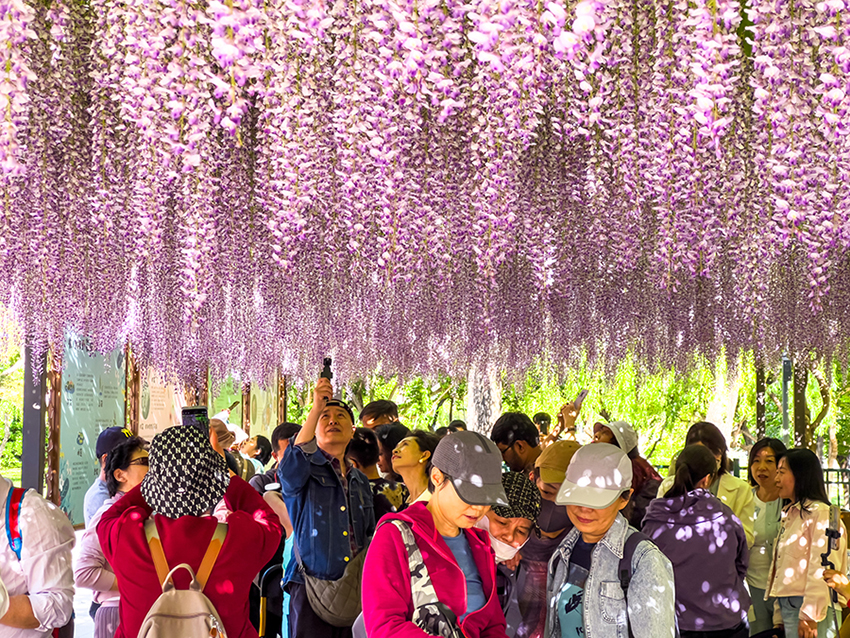 ???? ?????? ?????? .. ???? ????????? ?????? ????????? ?? ???? ????? ????????