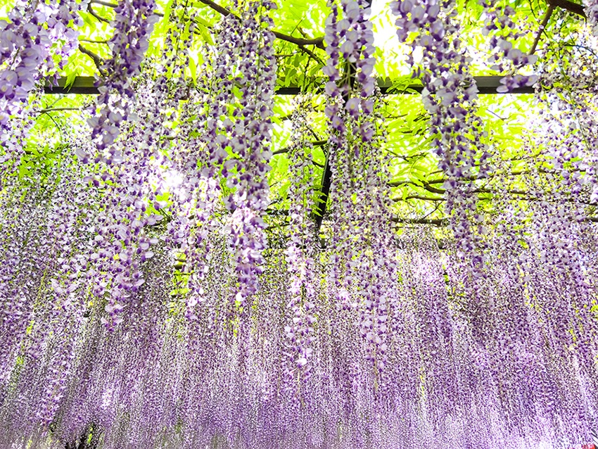 ???? ?????? ?????? .. ???? ????????? ?????? ????????? ?? ???? ????? ????????